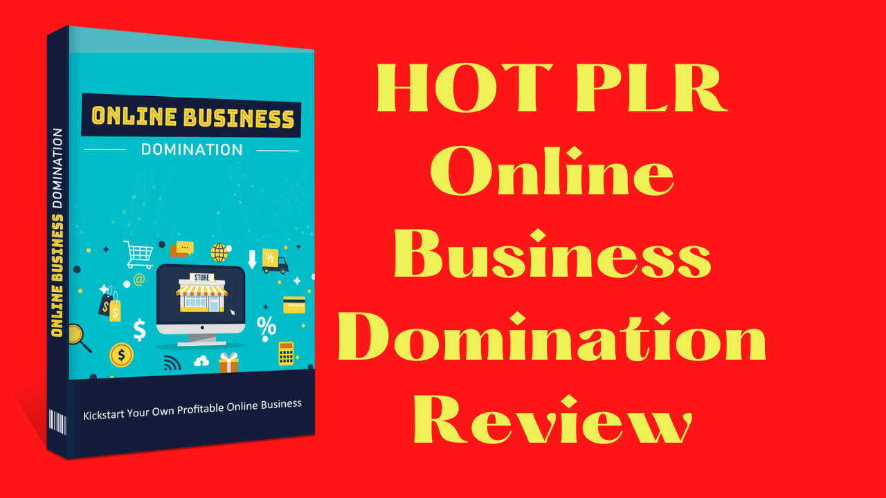 HOT PLR Online Business Domination Review