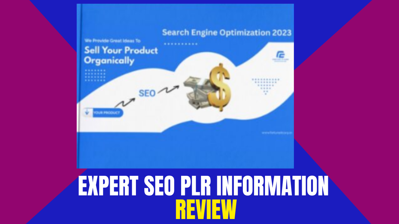 Expert SEO PLR information Review